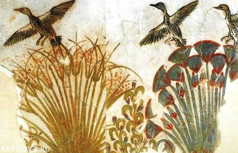 Иллюстрация к книге — Египетский музей [i_049.jpg]