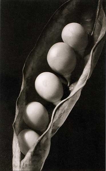 Иллюстрация к книге — Национальный музей искусства Каталонии. Барселона [i_075.jpg]