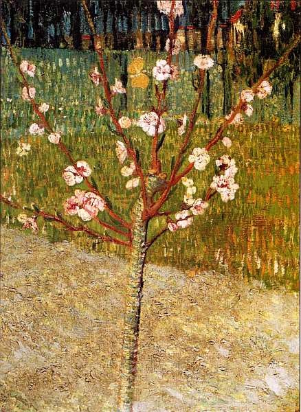 Иллюстрация к книге — Музей Винсента Ван Гога [i_035.jpg]