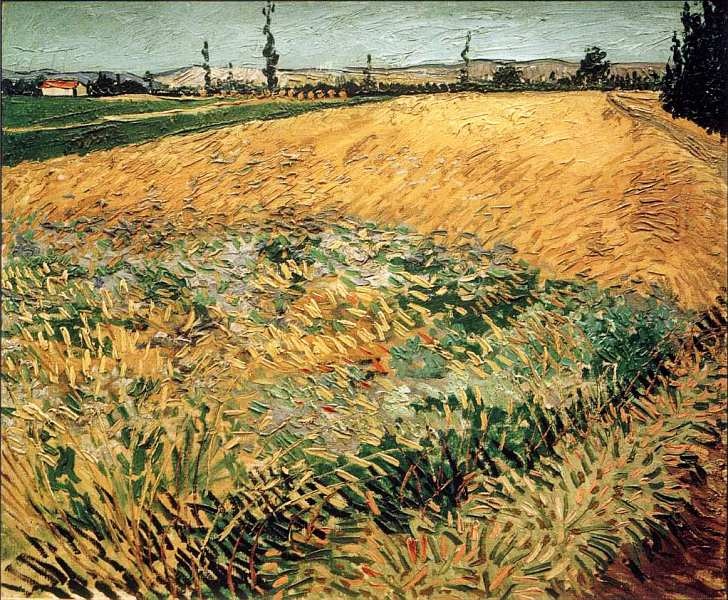 Иллюстрация к книге — Музей Винсента Ван Гога [i_036.jpg]