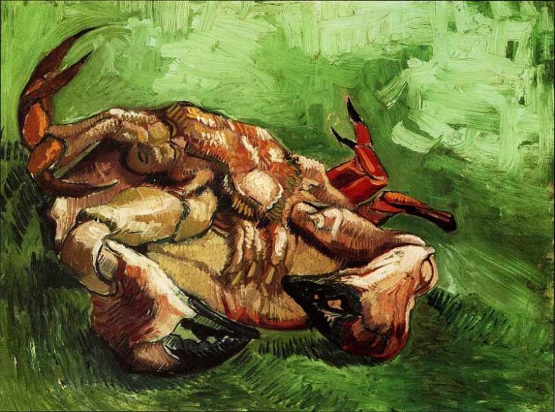 Иллюстрация к книге — Музей Винсента Ван Гога [i_046.jpg]