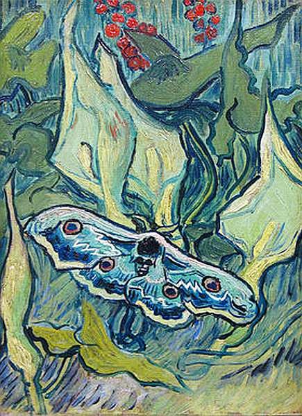 Иллюстрация к книге — Музей Винсента Ван Гога [i_051.jpg]