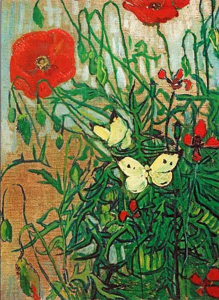 Иллюстрация к книге — Музей Винсента Ван Гога [i_059.jpg]