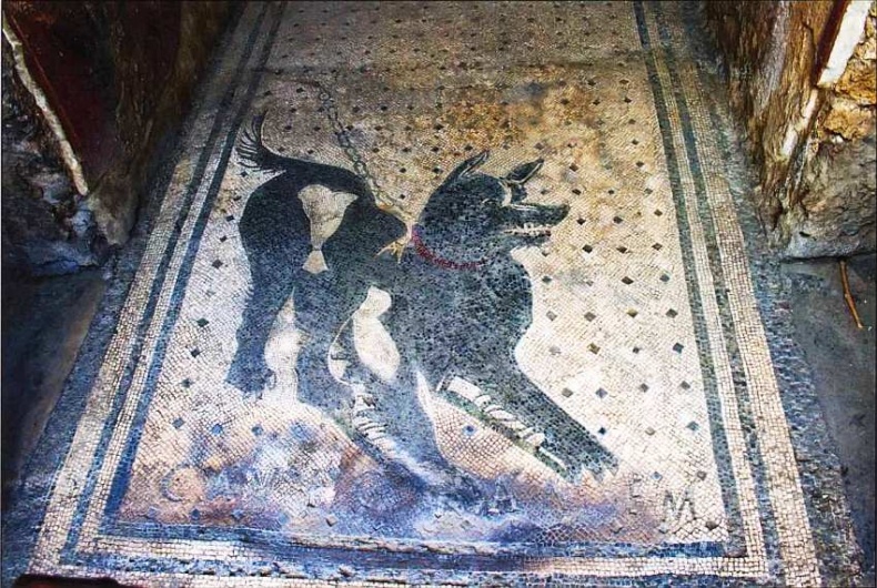 Иллюстрация к книге — Город-музей Помпеи [i_038.jpg]