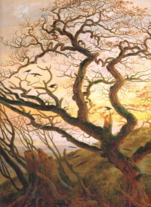 Иллюстрация к книге — Лувр [i_099.jpg]