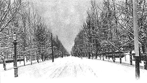 Иллюстрация к книге — Петербургские окрестности. Быт и нравы начала ХХ века [_13.jpg]