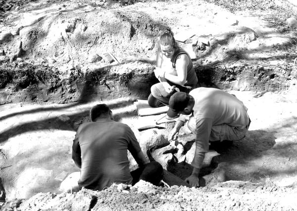 Иллюстрация к книге — Петербургские окрестности. Быт и нравы начала ХХ века [_165.jpg]