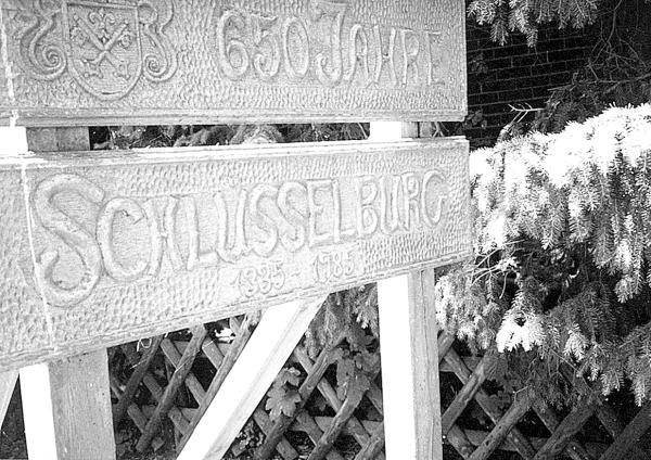 Иллюстрация к книге — Петербургские окрестности. Быт и нравы начала ХХ века [_58.jpg]