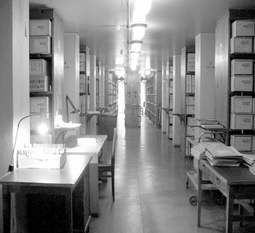 Иллюстрация к книге — Петербургские окрестности. Быт и нравы начала ХХ века [_68.jpg]