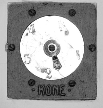 Иллюстрация к книге — Петербургские окрестности. Быт и нравы начала ХХ века [_70.jpg]