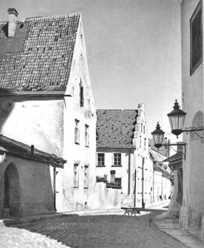 Иллюстрация к книге — Петербургские окрестности. Быт и нравы начала ХХ века [_77.jpg]