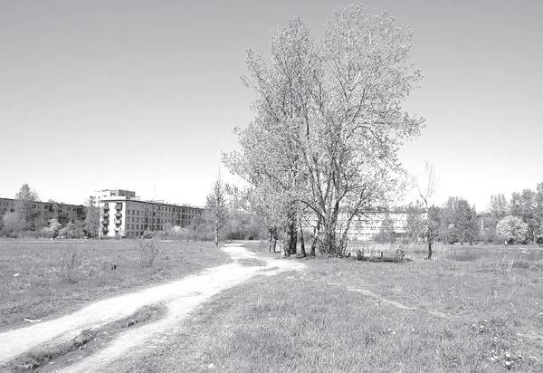 Иллюстрация к книге — Исторические районы Петербурга от А до Я [_101.jpg]