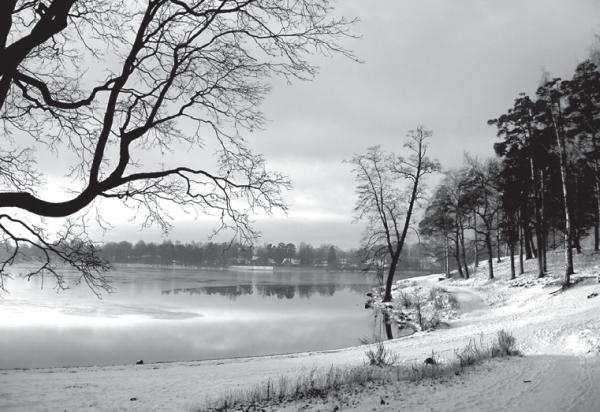 Иллюстрация к книге — Исторические районы Петербурга от А до Я [_167.jpg]