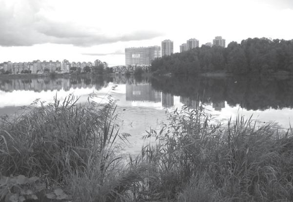 Иллюстрация к книге — Исторические районы Петербурга от А до Я [_169.jpg]