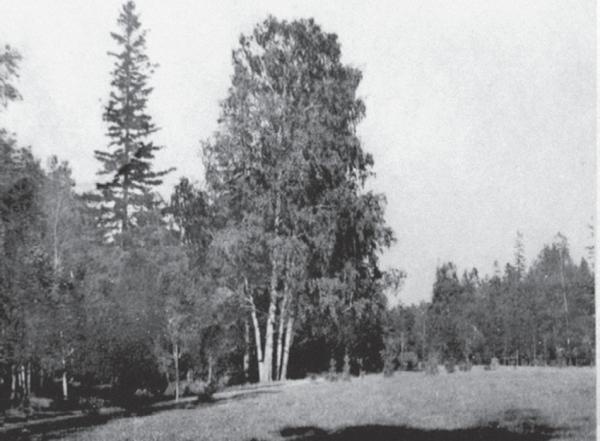 Иллюстрация к книге — Исторические районы Петербурга от А до Я [_279.jpg]