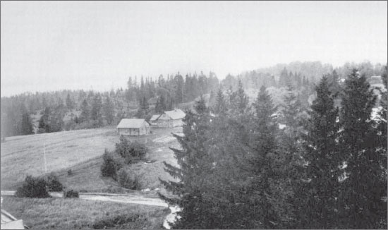 Иллюстрация к книге — Вокруг Петербурга. Заметки наблюдателя [i_025.jpg]