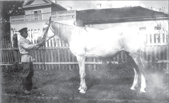 Иллюстрация к книге — Вокруг Петербурга. Заметки наблюдателя [i_037.jpg]