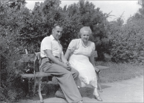 Иллюстрация к книге — Вокруг Петербурга. Заметки наблюдателя [i_048.jpg]