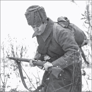 Иллюстрация к книге — Вокруг Петербурга. Заметки наблюдателя [i_073.jpg]