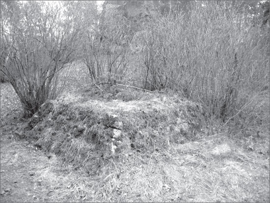 Иллюстрация к книге — Вокруг Петербурга. Заметки наблюдателя [i_078.jpg]