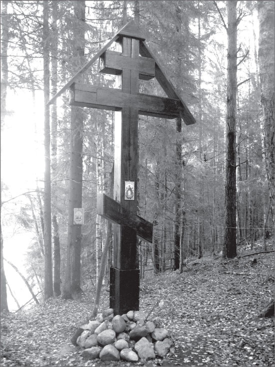 Иллюстрация к книге — Вокруг Петербурга. Заметки наблюдателя [i_089.jpg]