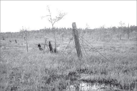 Иллюстрация к книге — Вокруг Петербурга. Заметки наблюдателя [i_112.jpg]