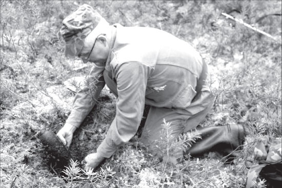 Иллюстрация к книге — Вокруг Петербурга. Заметки наблюдателя [i_113.jpg]