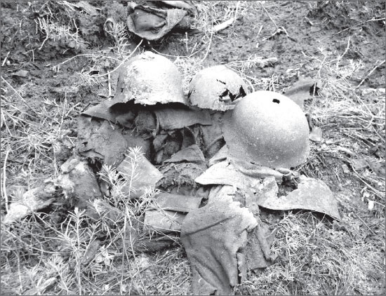 Иллюстрация к книге — Вокруг Петербурга. Заметки наблюдателя [i_117.jpg]