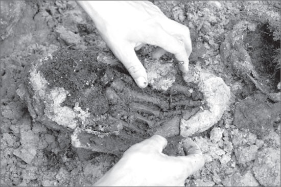 Иллюстрация к книге — Вокруг Петербурга. Заметки наблюдателя [i_122.jpg]