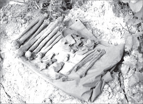 Иллюстрация к книге — Вокруг Петербурга. Заметки наблюдателя [i_124.jpg]