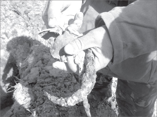 Иллюстрация к книге — Вокруг Петербурга. Заметки наблюдателя [i_127.jpg]