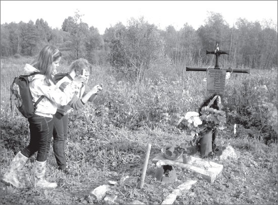 Иллюстрация к книге — Вокруг Петербурга. Заметки наблюдателя [i_135.jpg]