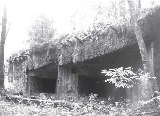 Иллюстрация к книге — Вокруг Петербурга. Заметки наблюдателя [i_144.jpg]