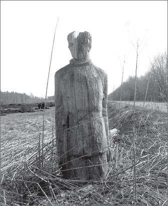 Иллюстрация к книге — Вокруг Петербурга. Заметки наблюдателя [i_155.jpg]