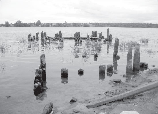 Иллюстрация к книге — Вокруг Петербурга. Заметки наблюдателя [i_168.jpg]