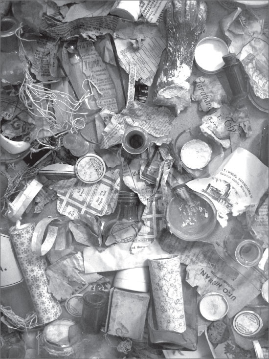 Иллюстрация к книге — Вокруг Петербурга. Заметки наблюдателя [i_190.jpg]