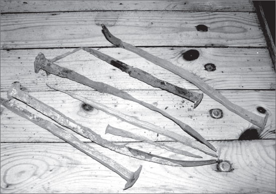 Иллюстрация к книге — Вокруг Петербурга. Заметки наблюдателя [i_194.jpg]