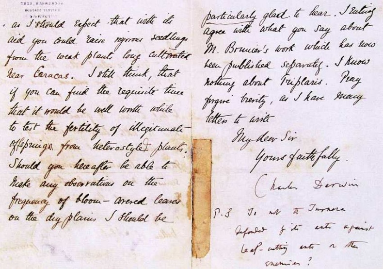 Иллюстрация к книге — Государственный Дарвиновский музей Москва [i_004.jpg]