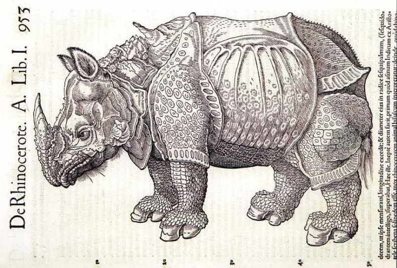 Иллюстрация к книге — Государственный Дарвиновский музей Москва [i_012.jpg]