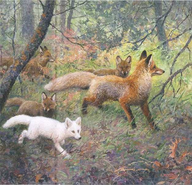 Иллюстрация к книге — Государственный Дарвиновский музей Москва [i_032.jpg]