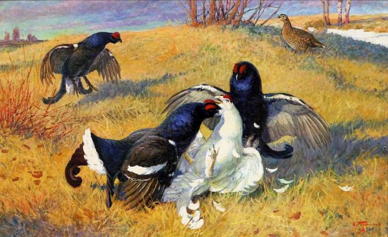 Иллюстрация к книге — Государственный Дарвиновский музей Москва [i_034.jpg]