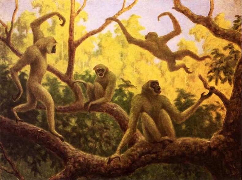 Иллюстрация к книге — Государственный Дарвиновский музей Москва [i_046.jpg]