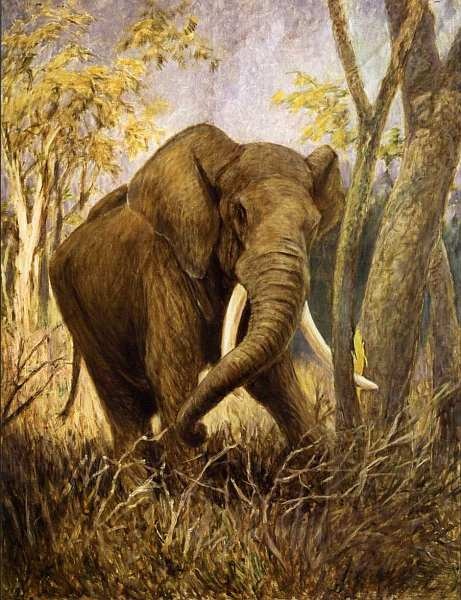 Иллюстрация к книге — Государственный Дарвиновский музей Москва [i_048.jpg]