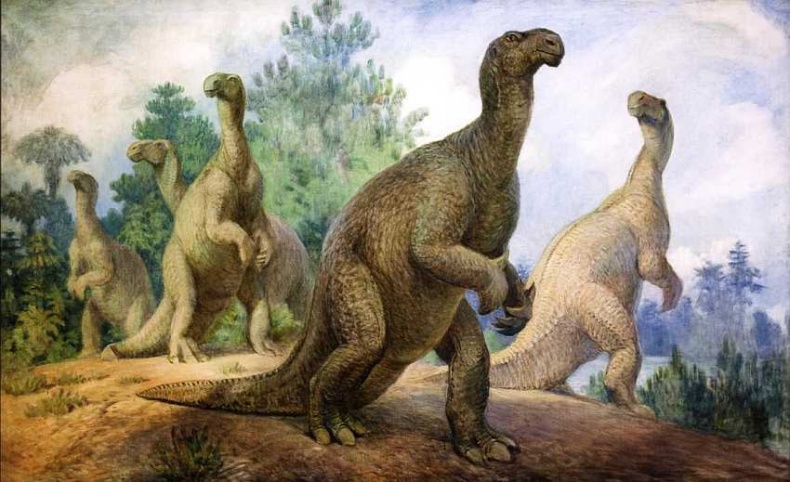 Иллюстрация к книге — Государственный Дарвиновский музей Москва [i_054.jpg]