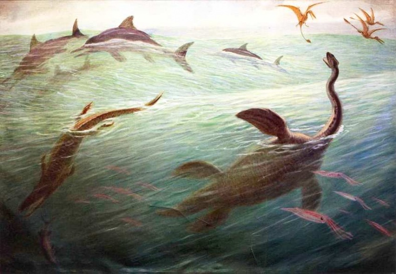 Иллюстрация к книге — Государственный Дарвиновский музей Москва [i_055.jpg]