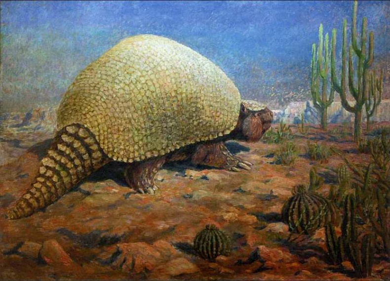 Иллюстрация к книге — Государственный Дарвиновский музей Москва [i_057.jpg]