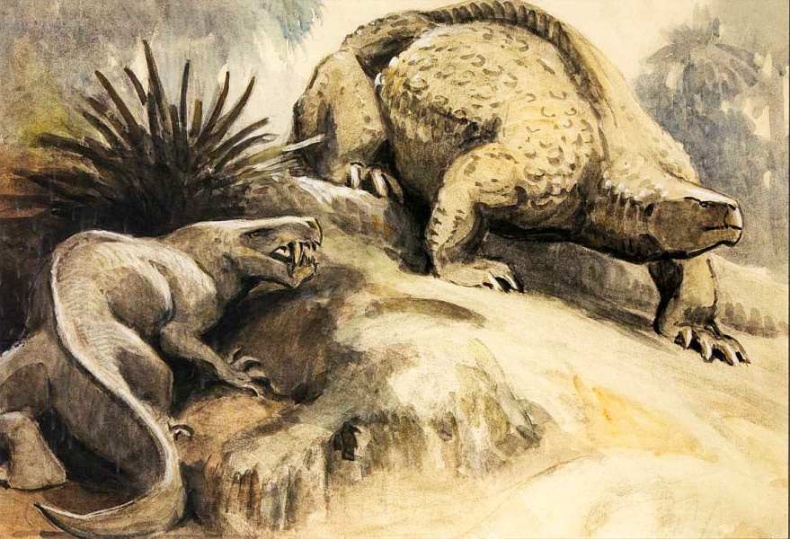 Иллюстрация к книге — Государственный Дарвиновский музей Москва [i_059.jpg]