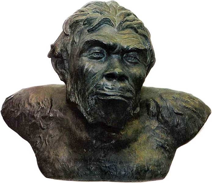 Иллюстрация к книге — Государственный Дарвиновский музей Москва [i_061.jpg]