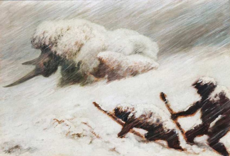 Иллюстрация к книге — Государственный Дарвиновский музей Москва [i_062.jpg]