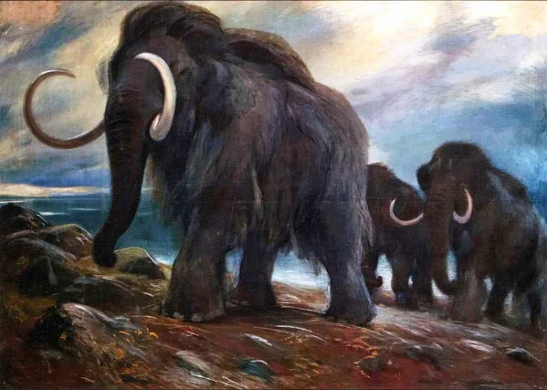 Иллюстрация к книге — Государственный Дарвиновский музей Москва [i_063.jpg]